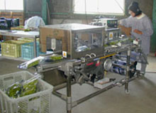 野菜用コンパクト自動包装機「SB-500WR」を導入されて 野菜用コンパクト自動包装機「SB-500WR」を導入されて