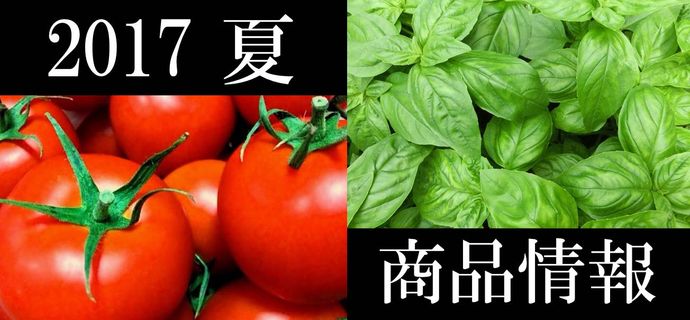 2017夏の商品情報