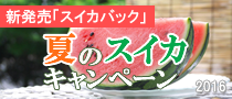 watermelon_bn