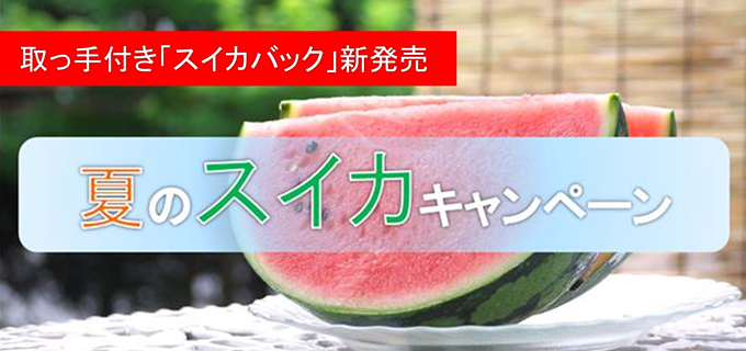 watermelon_visual