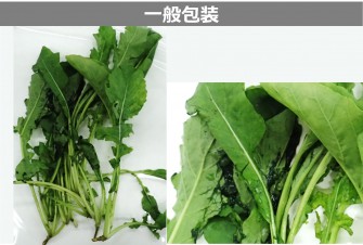 Hình ảnh ngày cuối cùng của bài kiểm tra arugula 2