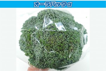 Hình ảnh ngày thi đầu tiên của đề thi 1