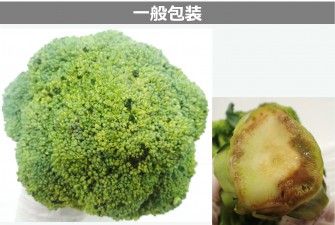 Hình ảnh ngày cuối cùng của đề thi bông cải xanh 2