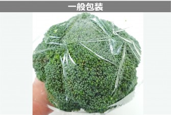 Hình ảnh 2 trong ngày đầu tiên của bài kiểm tra bông cải xanh