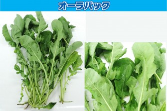 Hình ảnh ngày cuối cùng của bài kiểm tra arugula 1