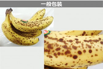 Hình ảnh 2 của ngày cuối cùng của bài kiểm tra chuối