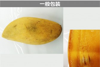 Hình ảnh 2 của ngày cuối cùng của bài kiểm tra xoài