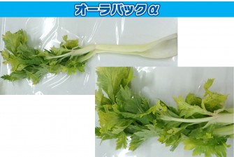 Hình ảnh ngày thi cuối cần tây 1