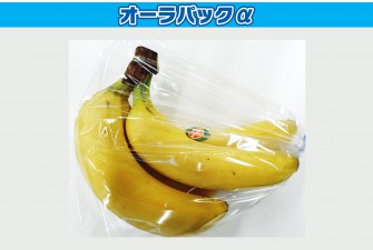 Hình ảnh ngày thi chuối 1