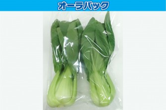 Hình ảnh ngày đầu tiên của bài kiểm tra bok choy 1