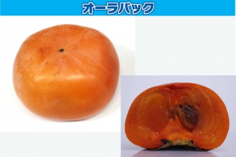 Hình ảnh ngày cuối cùng của kỳ thi hồng 1