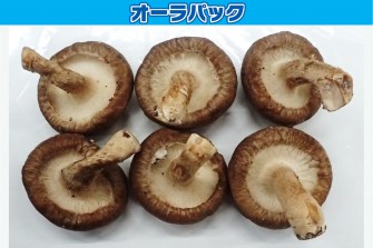 Hình ảnh ngày cuối cùng của bài kiểm tra nấm hương 1