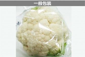 Hình ảnh 2 trong ngày đầu tiên của bài kiểm tra súp lơ