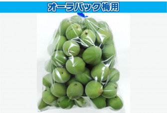 Hình ảnh ngày thi đầu tiên của mận 1