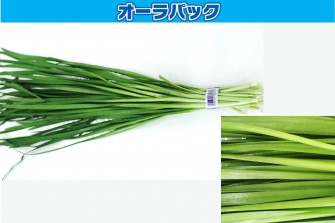 Hình ảnh ngày cuối cùng của bài kiểm tra tỏi tây 1