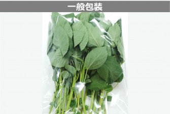 Hình ảnh 2 trong ngày đầu tiên của bài kiểm tra Moroheiya