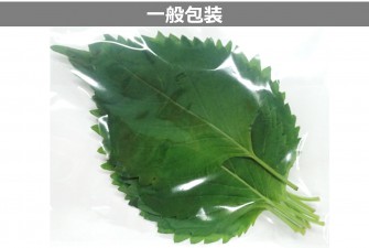 Hình ảnh 2 trong ngày đầu tiên của bài kiểm tra Ooba