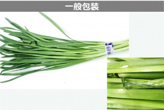 Hình ảnh 2 của ngày cuối cùng của bài kiểm tra tỏi tây