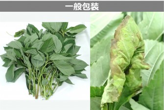 Hình ảnh 2 trong ngày cuối cùng của bài kiểm tra Moroheiya