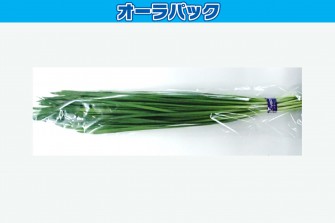 Hình ảnh ngày đầu tiên của bài kiểm tra tỏi tây 1