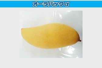 Hình ảnh ngày thi đầu tiên của xoài 1