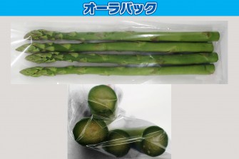 Hình ảnh ngày đầu tiên của thử nghiệm măng tây 1