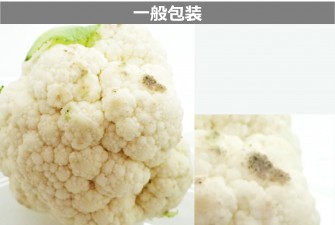 Hình ảnh ngày thi cuối cùng của súp lơ 2