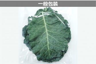 Hình ảnh ngày đầu tiên của bài kiểm tra cải xoăn 2