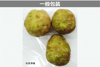 Hình ảnh 2 trong ngày cuối cùng của bài kiểm tra khoai tây mới (baron)