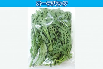 Hình ảnh ngày thi hoa cúc đại đóa lần 1