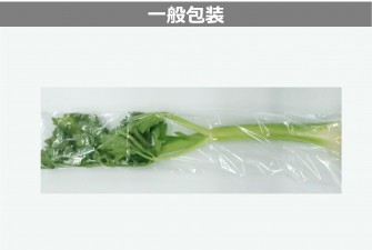 Hình ảnh 2 trong ngày đầu tiên của thử nghiệm cần tây