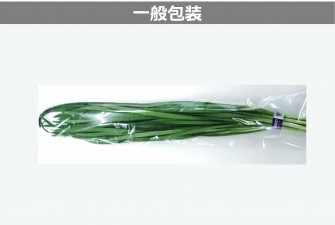 Hình ảnh 2 trong ngày đầu tiên của bài kiểm tra tỏi tây