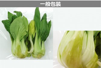 Hình ảnh 2 của ngày cuối cùng của bài kiểm tra bok choy