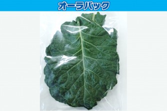 Hình ảnh ngày đầu tiên của bài kiểm tra cải xoăn 1