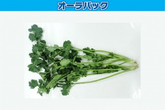 Hình ảnh ngày đầu tiên của bài kiểm tra Pakuchi 1