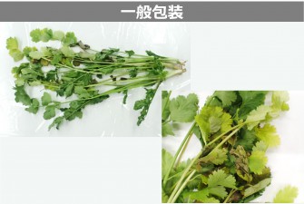 Hình ảnh ngày cuối cùng của kỳ thi Pakuchi 2