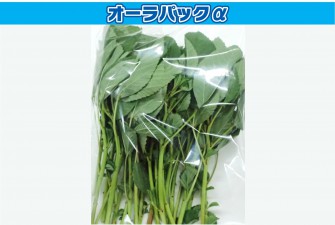 Hình ảnh ngày đầu tiên của bài kiểm tra Moroheiya 1