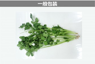 Hình ảnh 2 trong ngày đầu tiên của bài kiểm tra Pakuchi