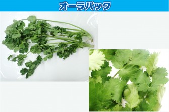 Hình ảnh ngày cuối cùng của bài kiểm tra Pakuchi 1