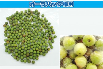 Hình ảnh ngày cuối cùng của bài kiểm tra Koume 1