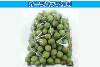 Hình ảnh ngày đầu tiên của bài kiểm tra Koume 1