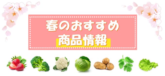 2020春の商品情報