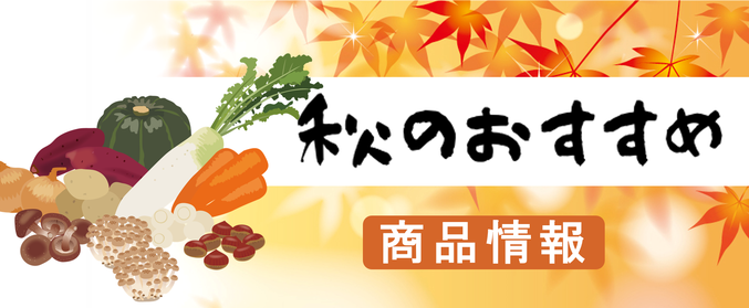 2020秋の商品情報