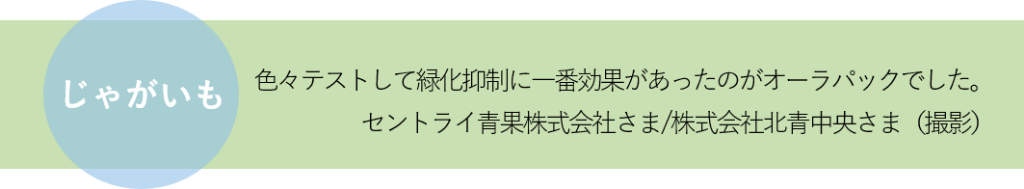 タイトル