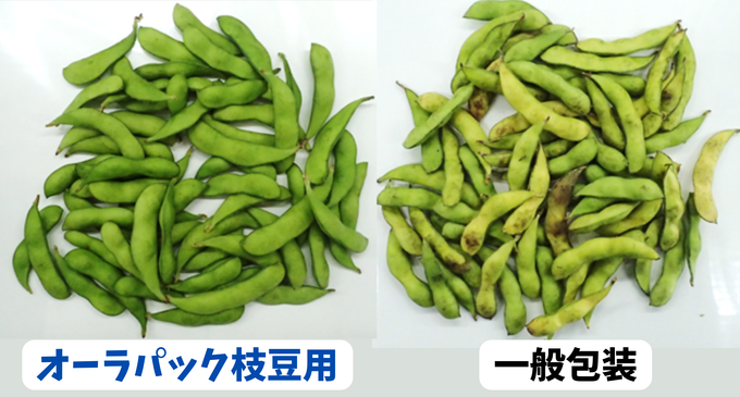 オーラパック枝豆一般包装鮮度比較