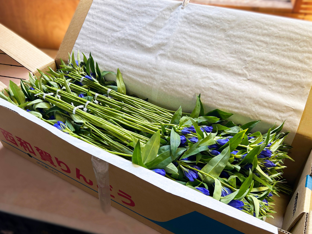 「FAMP別注品」を導入されて（JAいわて花巻 （花巻農業協同組合）様）